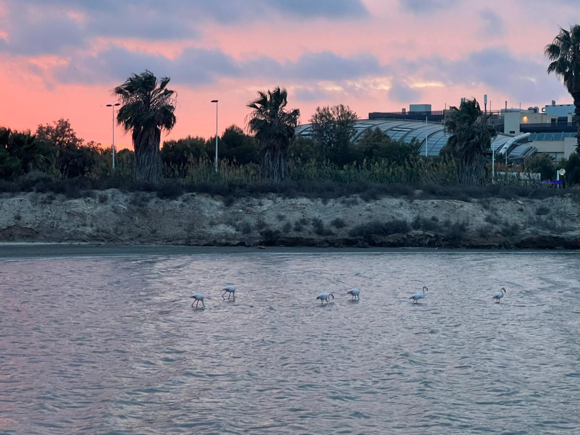 Mar Menor Paradise By Pinos Holidays Appartement *