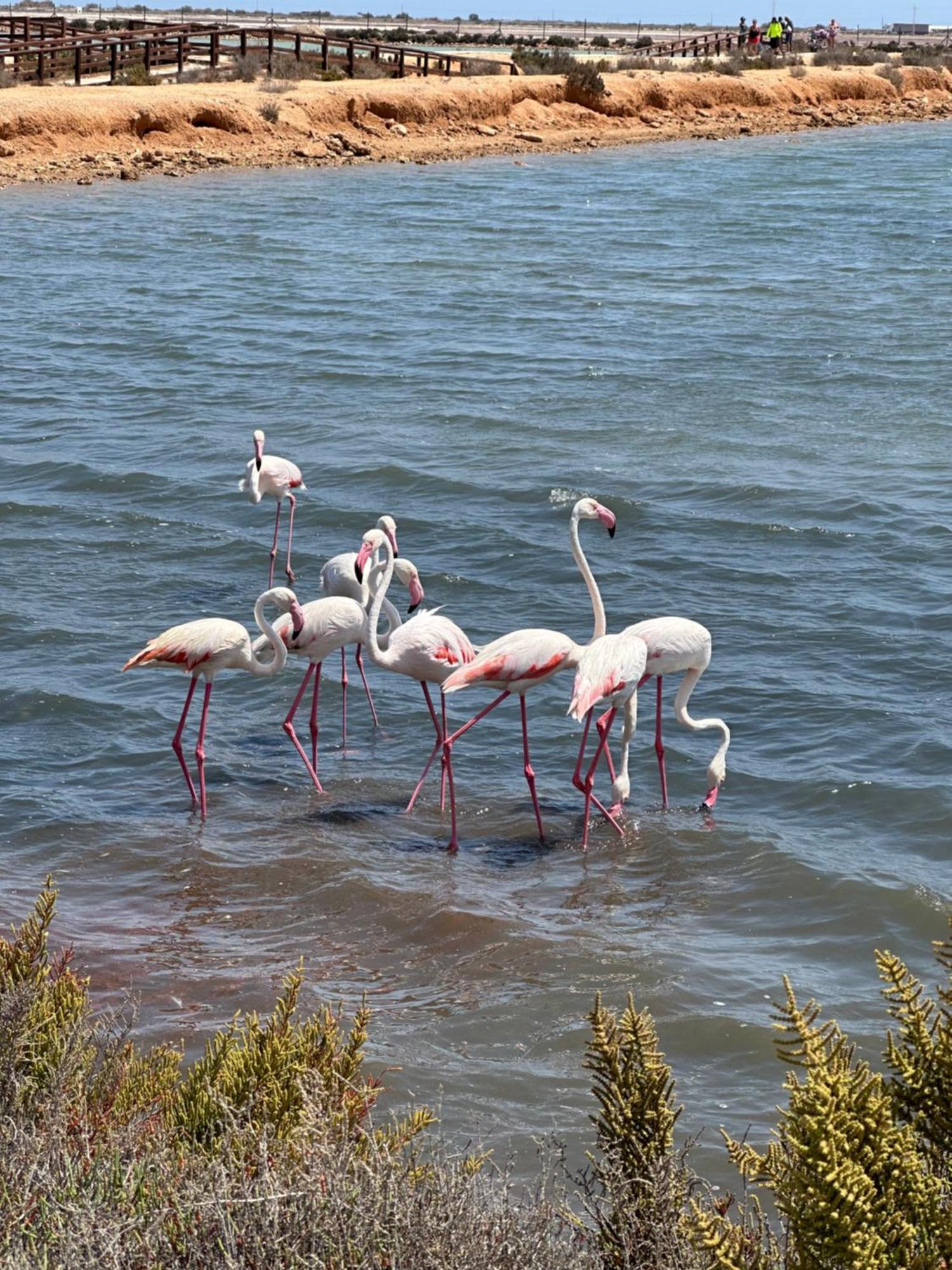 Mar Menor Paradise By Pinos Holidays Apartment San Pedro del Pinatar